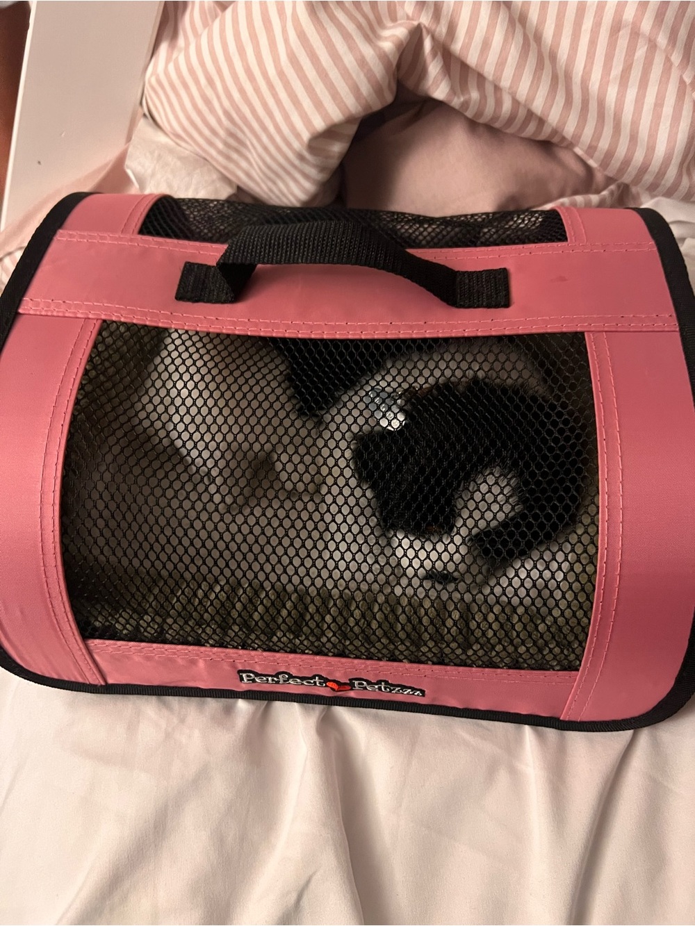 Perfect Petzzz Border Collie with bed in Pink Soft Carrier